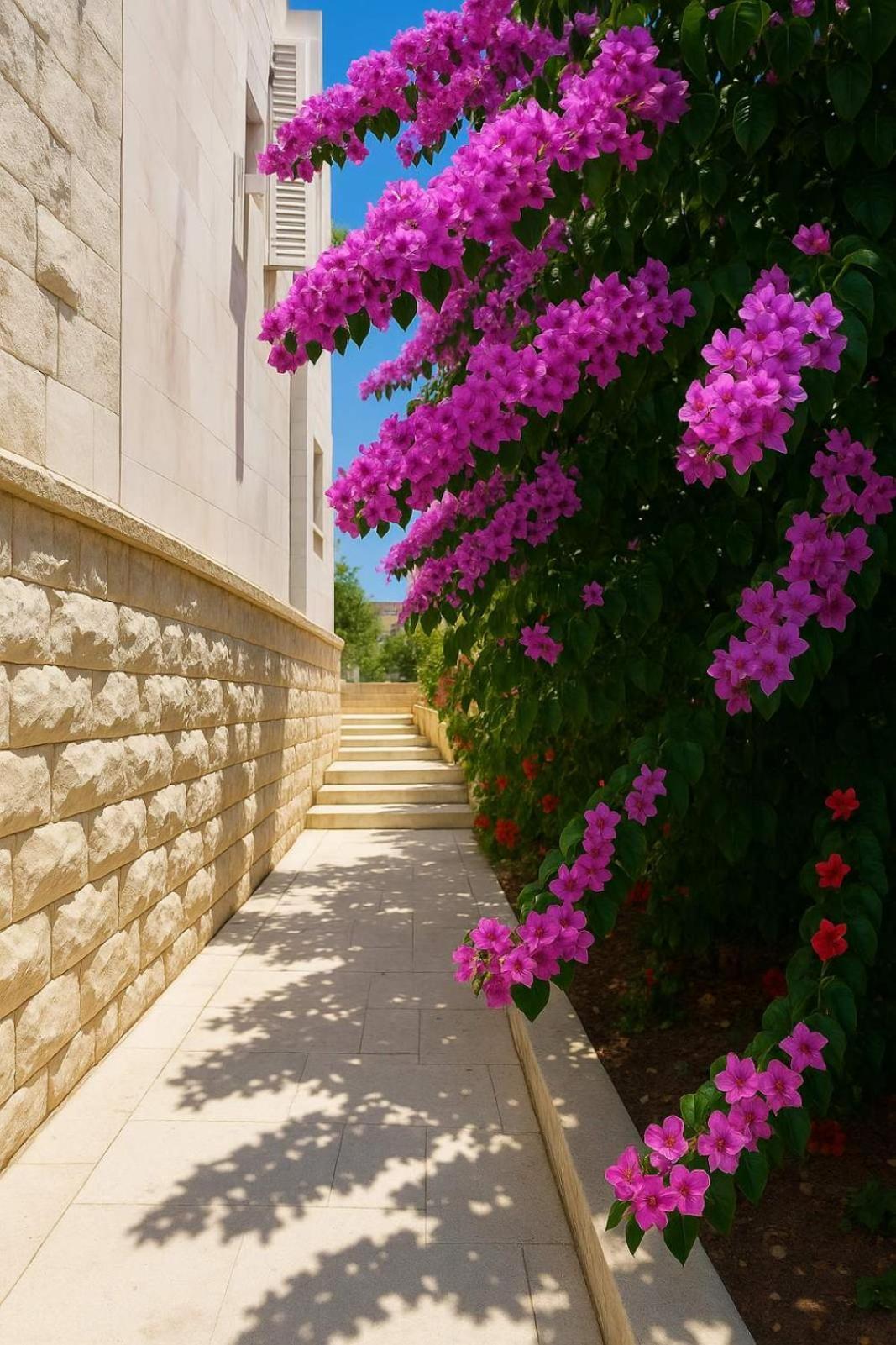 Mirjana Appartement Budva